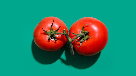 homesteading grow your own food