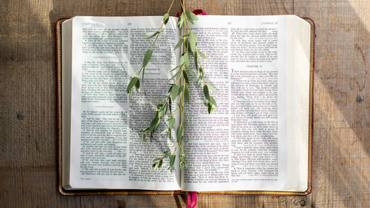 Bible verse