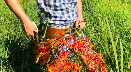 garden belt - gardening tool belt - utility belt - gaucha designs - leather tool belt